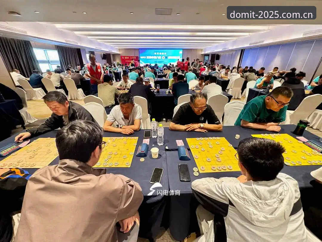 最新多米体育2025新版使用详解：从安装到上手全流程介绍